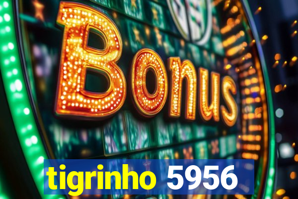 tigrinho 5956